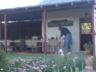 dsc00154-1.thumbnail.JPG