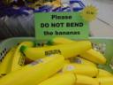 dsc00201.thumbnail.JPG