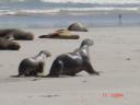 dsc03944-1.thumbnail.JPG