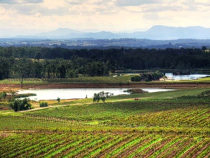 hunter-valley