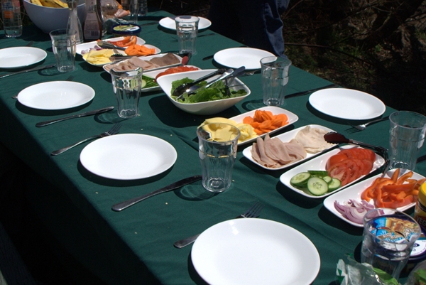 picnic lunch