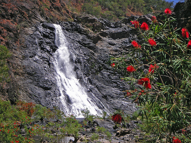 bloomfield falls