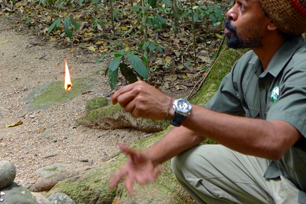 dreamtime walk guide